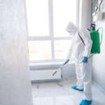 Mold Elimination Tips for Office Buildings